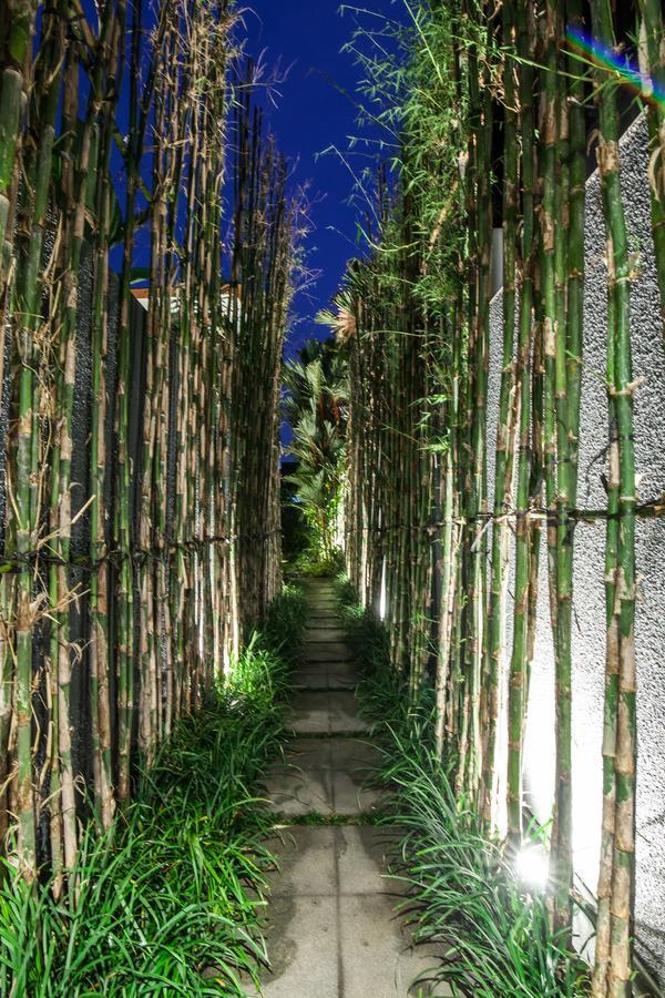 Villa Ixora チャングー エクステリア 写真